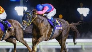 【チャンピオンズC展望】ダートの頂上決戦、より長い距離の実績に注目