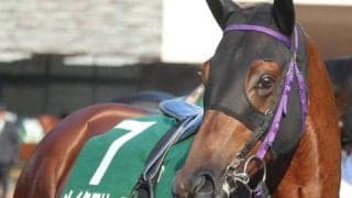 栗東屈指の大穴厩舎がチャンピオンズC参戦 みやこS2着馬を侮るな