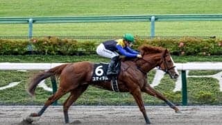 2億円馬ユティタムが今年のみの記念重賞・神奈川記念に参戦