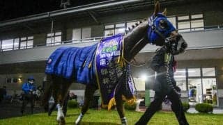 南部杯大差勝ちのレモンポップは大外8枠15番、無傷5連勝中のセラフィックコールは7枠12番/チャンピオンズC枠順