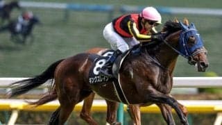 【ステイヤーズS出走馬・騎手確定】キングズレイン＆W.ビュイック騎手、テーオーロイヤル＆浜中俊騎手など16頭