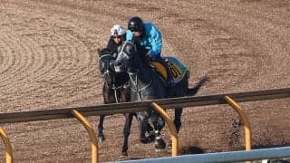 アスコリピチェーノ、阪神JF1週前追い切り速報/栗東トレセンニュース