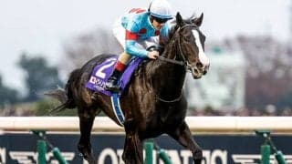 引退イクイノックスに国内外からねぎらいの声 「GI全て圧巻の走り」「まさしく天賦の才」