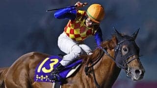 GI級3勝の実績馬テーオーケインズ チャンピオンズC隔年V狙う