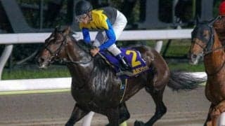 鬼門を新パートナーと克服!? 昨年のJDD覇者がチャンピオンズCで2つ目のビッグタイトル