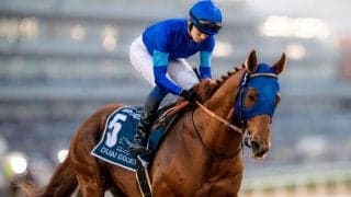 【チャンピオンズC】出走馬の調教後の馬体重