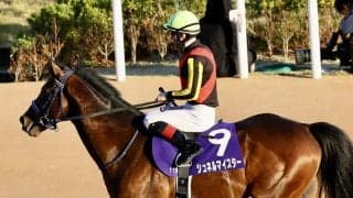 シュネルマイスターが競走馬登録抹消