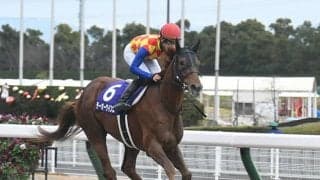 チャンピオンズC覇者は種牡馬としても成功？ その理由を探ってみた