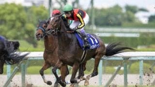 【香港国際競走】日本馬10頭が香港に到着…ジェラルディーナなど