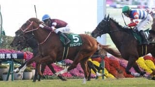 【京都2歳S】良血シンエンペラーが大混戦のゴール前を制する