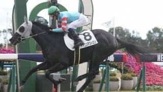 【新馬/京都5R】ディーマジェスティ産駒 ヤマニンアストロンが抜け出す