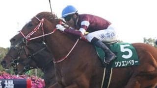 【京都2歳S】モレイラ「さすが凱旋門賞馬の弟」シンエンペラーがデビュー2連勝