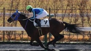 【新馬/京都4R】モーニン産駒 マシャーブルムが早め先頭から押し切る