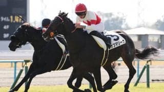 【新馬/京都6R】スワーヴリチャード産駒 サブマリーナが力強く突き抜ける