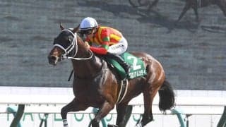 チャンピオンズＣに強いキングカメハメハ産駒は今回も信用できる？　レースを血統で分析