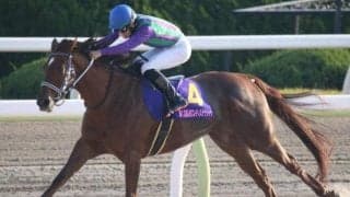 河内洋調教師がアイコンテーラーでJRA・GI初制覇へ 定年まで残り1年4カ月で決めるか