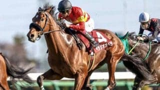 【チャレンジC枠順確定】ガイアフォースは5枠6番、ベラジオオペラは4枠5番