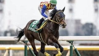 【ステイヤーズS枠順確定】キングズレインは1枠1番、テーオーロイヤルは6枠11番