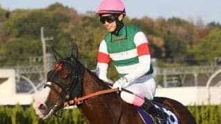 香港国際競走に出走予定の日本馬10頭が現地到着 各陣営がコメント