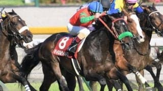 父はステイヤーズS6勝のレジェンド 横山武史騎手がマイネルウィルトスで3000m超級重賞初制覇なるか