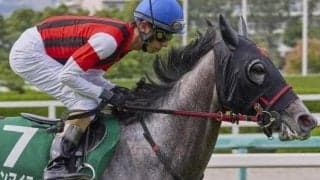 中山も阪神も芝は前＆内有利 最内枠ウインマイティーが好配呼ぶか