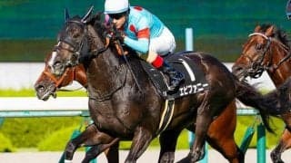 今週もシルク＆C.ルメール騎手が主役か チャレンジCは良血馬の重賞初Vに期待