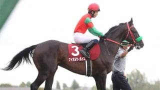 【ステイヤーズS予想】立ちはだかるのは年齢の壁!? 師走の中山を舞台に行われる平地最長距離の重賞