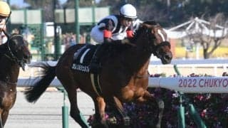 【中日新聞杯想定馬・騎手】カレンルシェルブル、ヤマニンサルバムなど17頭