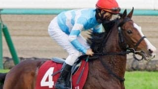 “小さなアイドル”メロディーレーン 14度目の重賞挑戦でタイトル獲得なるか