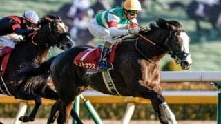 【朝日杯FS想定馬・騎手】シュトラウス、ジャンタルマンタルなど16頭