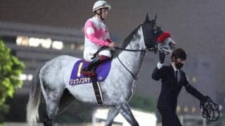 【カペラS想定馬・騎手】リュウノユキナ、オーロラテソーロなど22頭