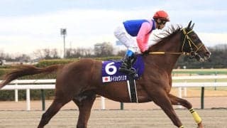 チャンピオンズＣは実力騎手騎乗の馬が構える２列目の後方で一発を目論む人気落ち実績馬に要注意