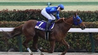 【チャンピオンズC】レモンポップは大外枠へ