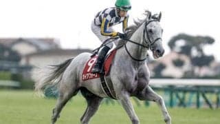 【チャレンジC予想】トリッキーな阪神芝2000m 求められるのは瞬発力より器用さ