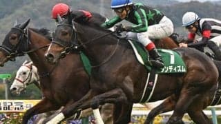 【ステイヤーズS予想】ゴール前の急坂を3度通過 タフな精神力が求められる最長距離戦