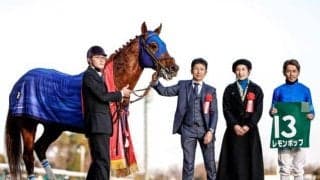 【チャンピオンズC予想】坂井瑠星「かなりの挑戦」から見て取れるレモンポップ陣営の本音