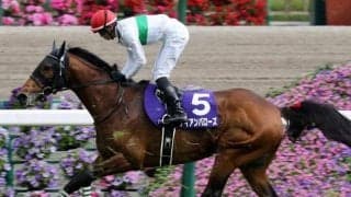 ステイヤーズSはリピーターを狙え 一昨年2着＆昨年4着馬の復活で好配当ゲットだ