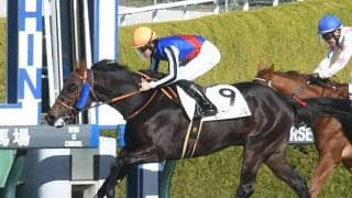 【阪神6R新馬戦結果】キズナ産駒のモンブランミノルがデビューV！
