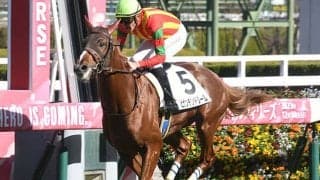 【阪神5R新馬戦結果】エピファネイア産駒のビザンチンドリームが豪快に差し切りV！