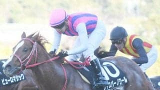 【さざんか賞結果】ハイペースをジャスパーノワールが2番手から押し切る