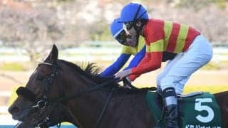 【チャレンジC結果】ベラジオオペラが大接戦制し重賞2勝目を挙げる