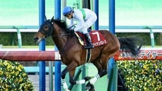 【ステイヤーズS】アイアンバローズが3度目の正直！鮮やかな逃げ切りで重賞初制覇