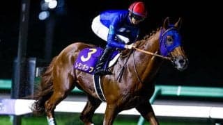 【チャンピオンズC予想】レモンポップに黄色信号!? 初の1800mに加え鬼門となるのは