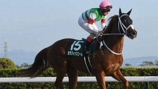 【チャンピオンズC前日オッズ】セラフィックコールが3.5倍で1番人気