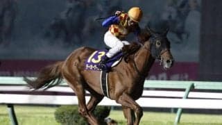 【AI予想・チャンピオンズC】幅広い年齢の馬が活躍するも高期待値は6歳馬！ 本命馬には引退前のもう一花を期待