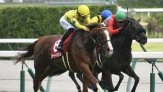 ローズSなど重賞2勝 アートハウスが競走馬登録抹消