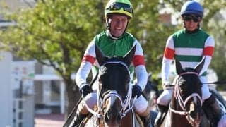 【今日の注目ポイント】中京で秋のダート王決定戦チャンピオンズC