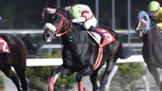 【高知・キセキ賞】ロイズピークが勝負根性を発揮して差し返す