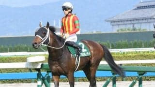 【チャンピオンズC予想】下半期のJRAダート王決定戦