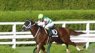 【チャンピオンズC予想】1着パターンは変わらず馬番2-11番重視？ 前走ローテパターンから狙える今年の特注馬は